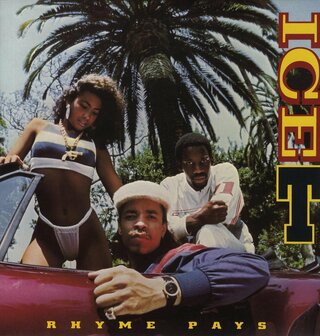 ICE-T - RHYME PAYS (LP)