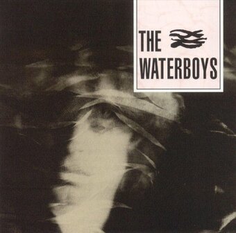 THE WATERBOYS - THE WATERBOYS (LP)