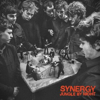 JUNGLE BY NIGHT - SYNERGY (2LP)