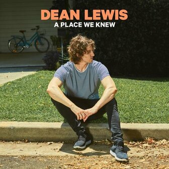 DEAN LEWIS - A PLACE WE KNEW (LP)