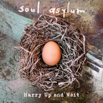 SOUL ASYLUM - HURRY UP AND WAIT (2LP)