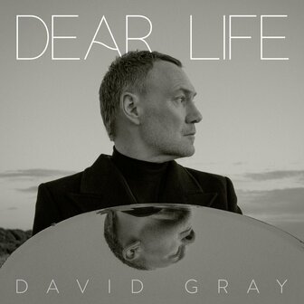 DAVID GRAY - DEAR LIFE (2LP/GREEN)